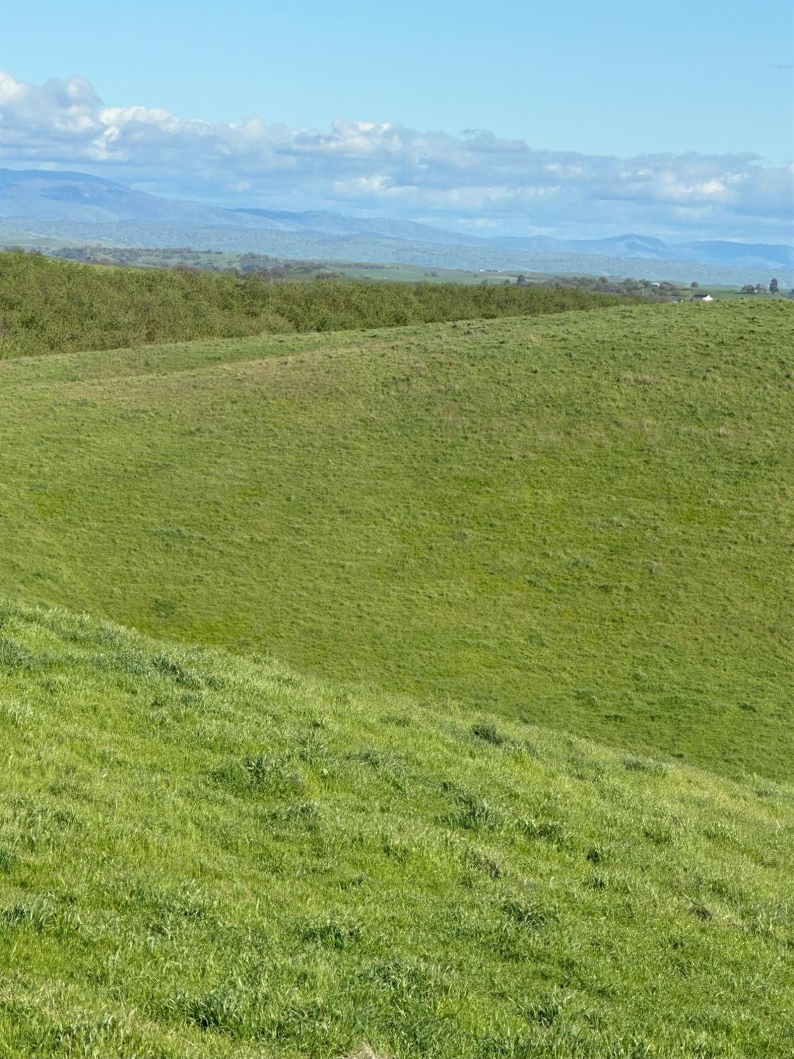 1100 Crabtree Road Waterford, CA 95386 - Photo 50 of 73