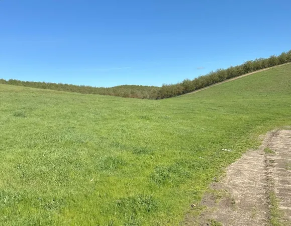 $3,650,000 | 1100 Crabtree Road, Waterford, CA 95386