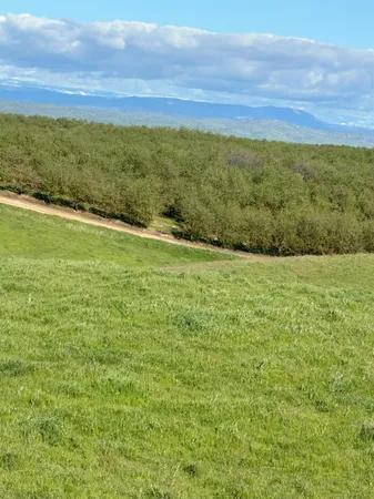 $3,650,000 | 1100 Crabtree Road, Waterford, CA 95386