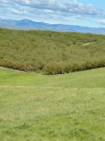 $3,650,000 | 1100 Crabtree Road, Waterford, CA 95386