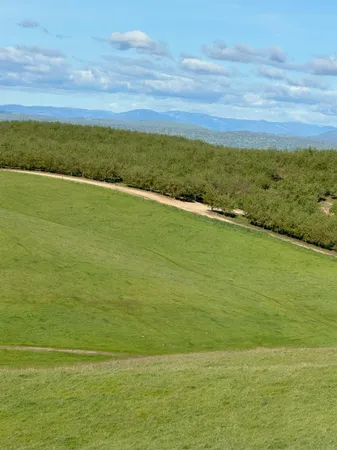 $3,650,000 | 1100 Crabtree Road, Waterford, CA 95386