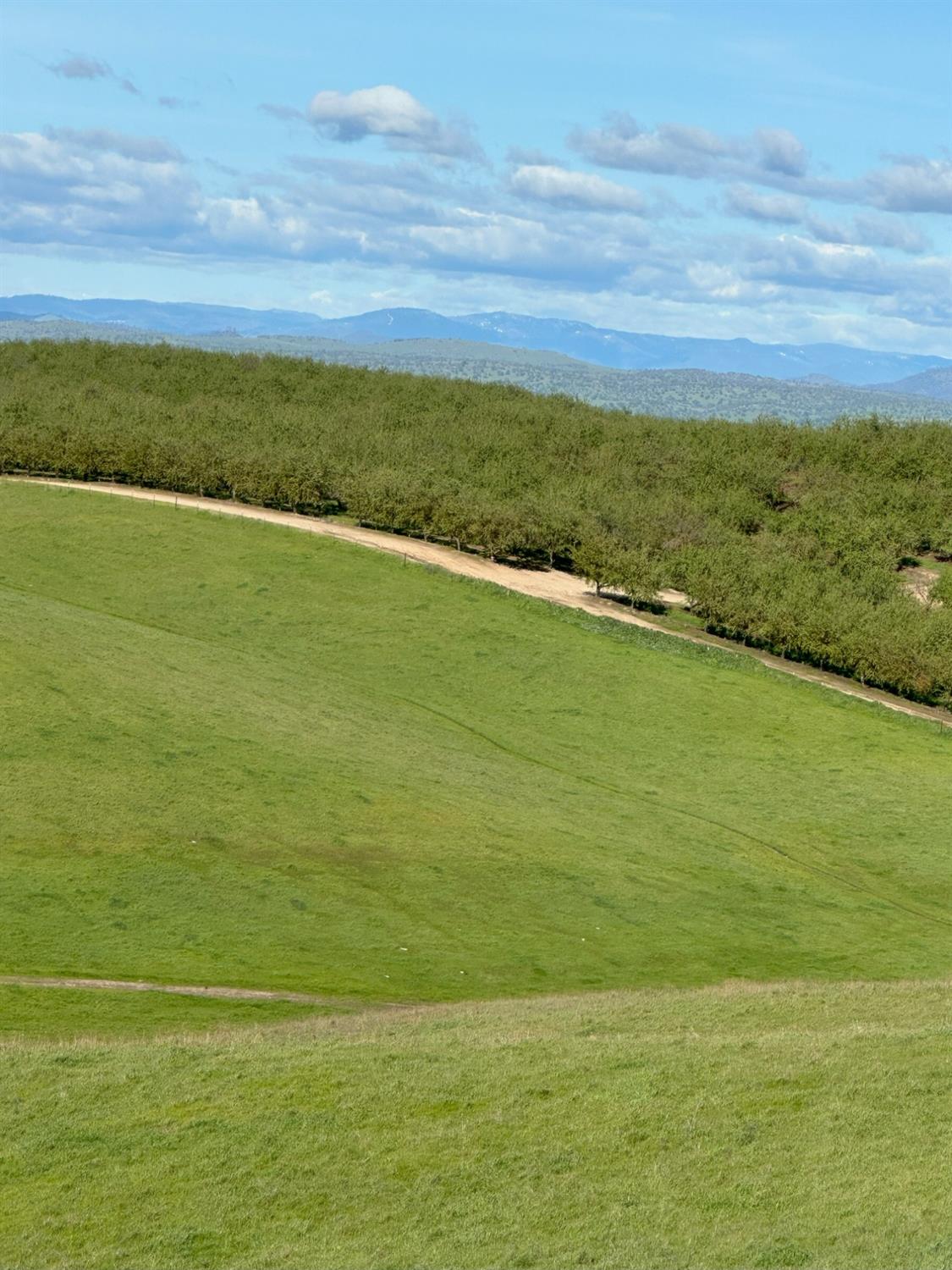 1100 Crabtree Road Waterford, CA 95386 - Photo 53 of 73 a view of an ocean from a yard