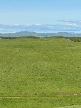 $3,650,000 | 1100 Crabtree Road, Waterford, CA 95386