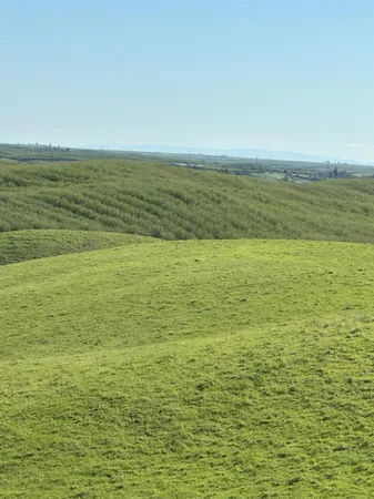 $3,650,000 | 1100 Crabtree Road, Waterford, CA 95386