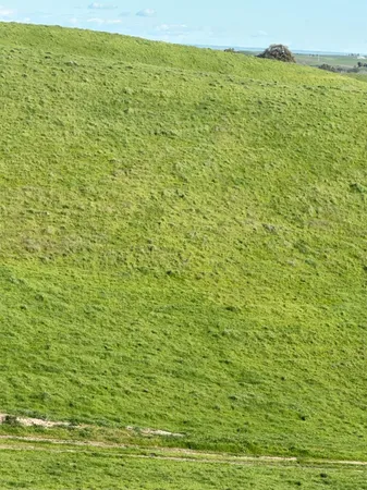 $3,650,000 | 1100 Crabtree Road, Waterford, CA 95386