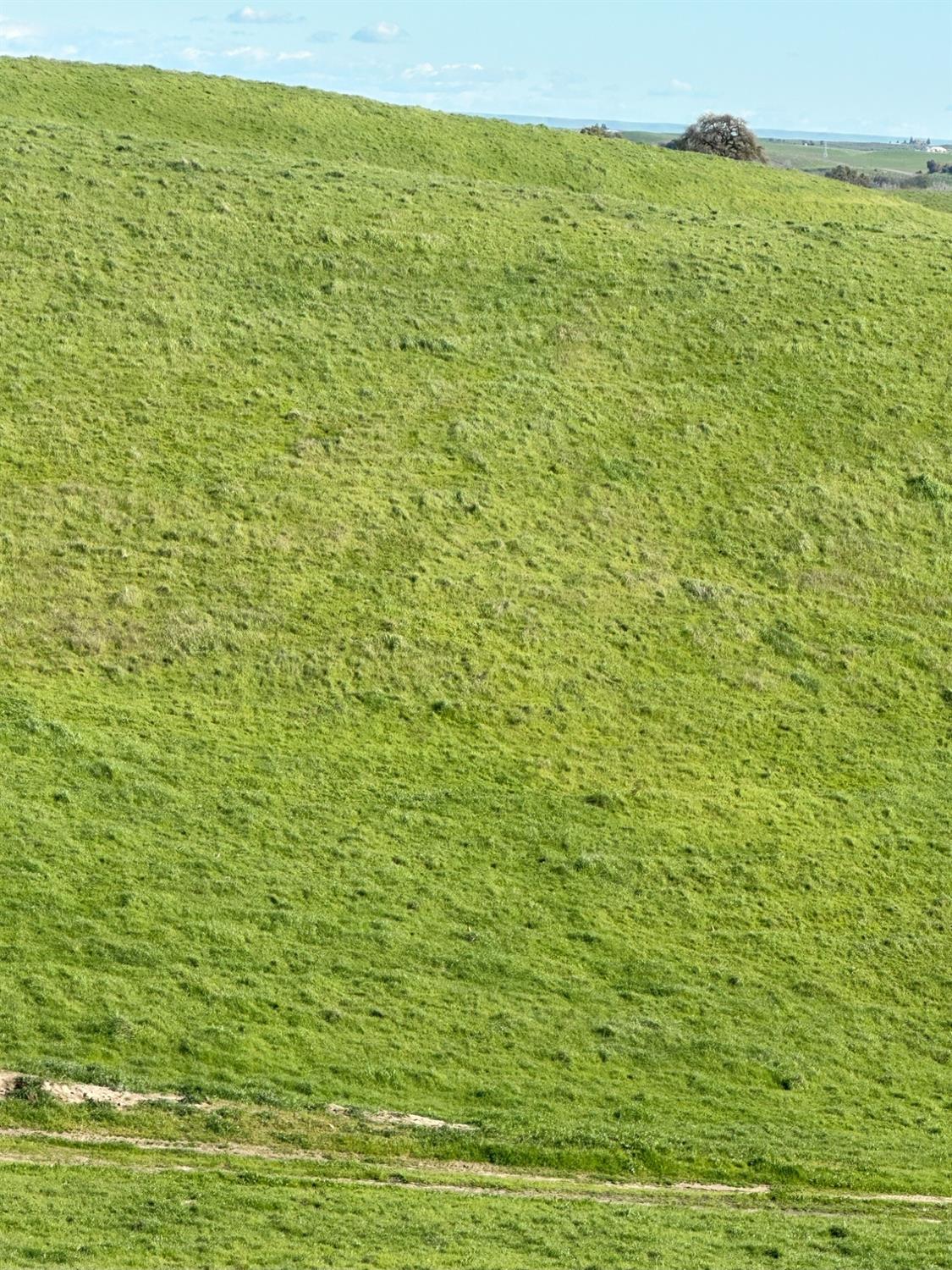 1100 Crabtree Road Waterford, CA 95386 - Photo 61 of 73