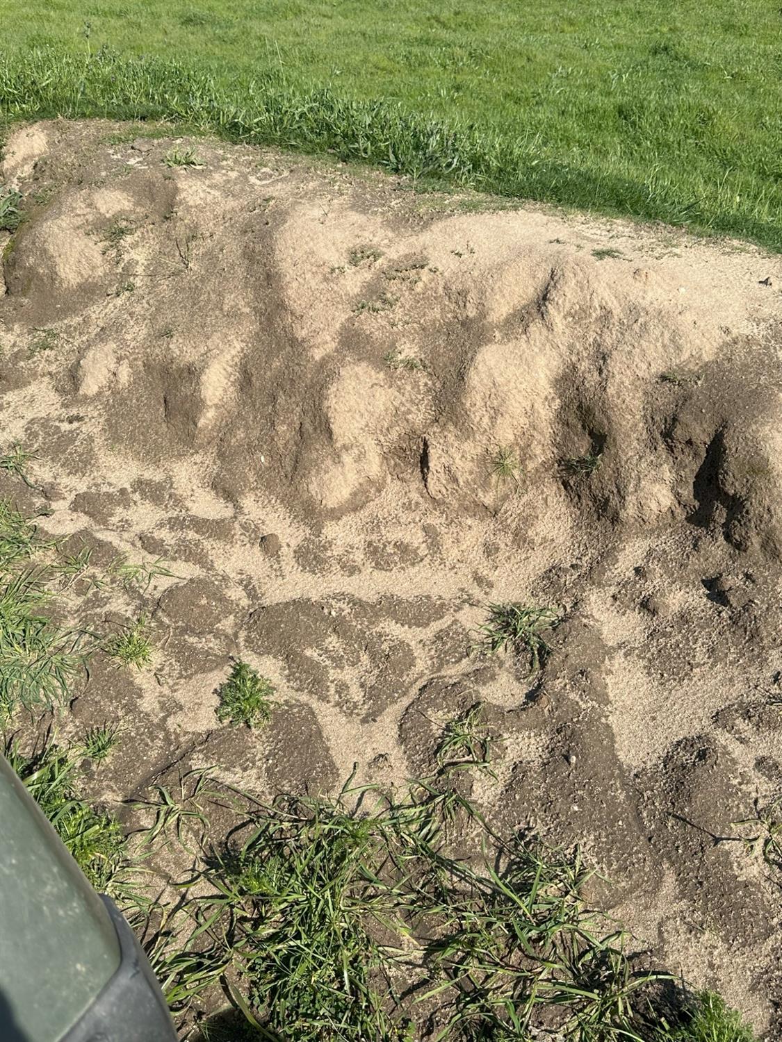 1100 Crabtree Road Waterford, CA 95386 - Photo 63 of 73 a view of a yard with a tree