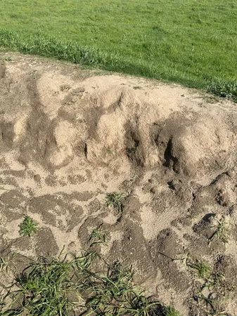 $3,650,000 | 1100 Crabtree Road, Waterford, CA 95386