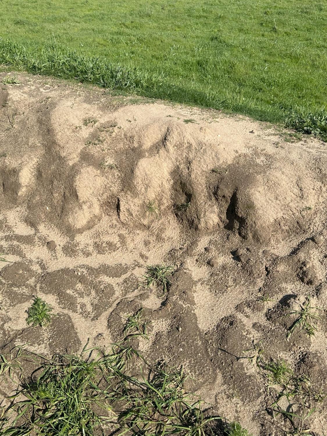 1100 Crabtree Road Waterford, CA 95386 - Photo 64 of 73