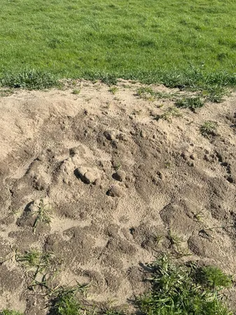 $3,650,000 | 1100 Crabtree Road, Waterford, CA 95386