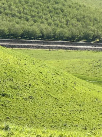 $3,650,000 | 1100 Crabtree Road, Waterford, CA 95386