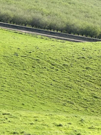 $3,650,000 | 1100 Crabtree Road, Waterford, CA 95386