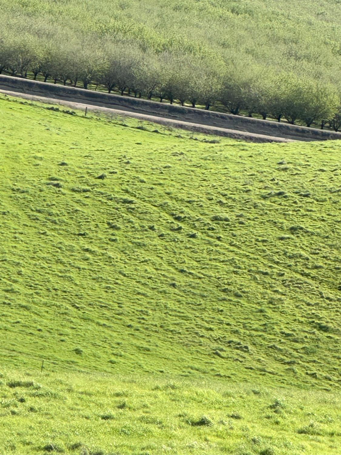 1100 Crabtree Road Waterford, CA 95386 - Photo 70 of 73 a view of a swimming pool and outdoor space