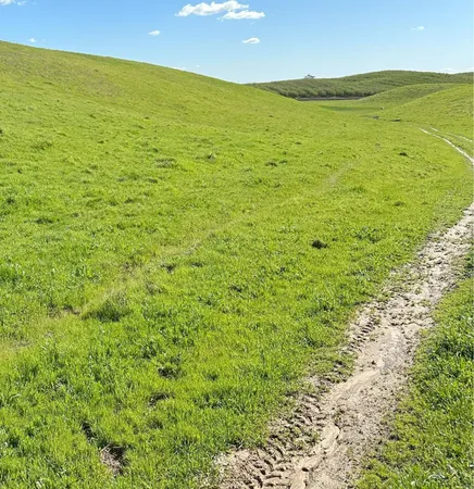 $3,650,000 | 1100 Crabtree Road, Waterford, CA 95386