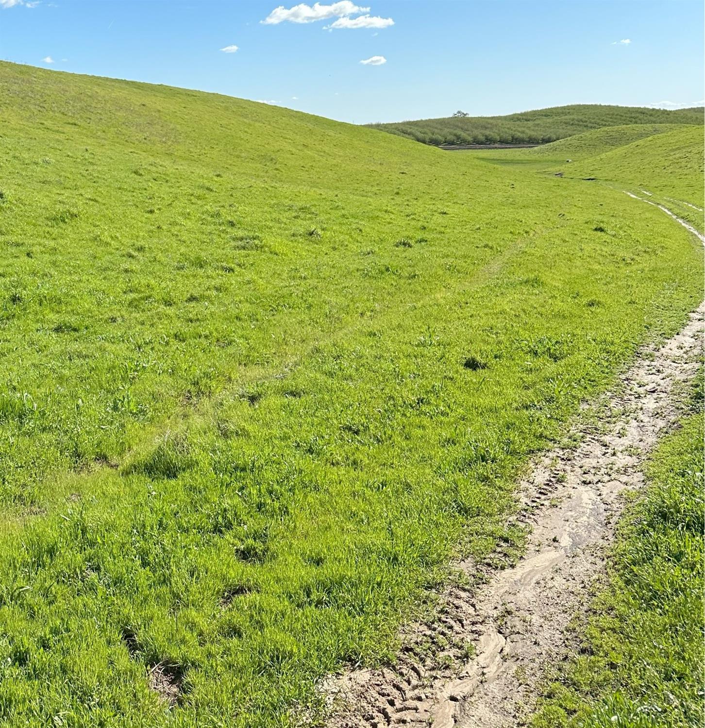 1100 Crabtree Road Waterford, CA 95386 - Photo 7 of 73 a view of an ocean from a yard