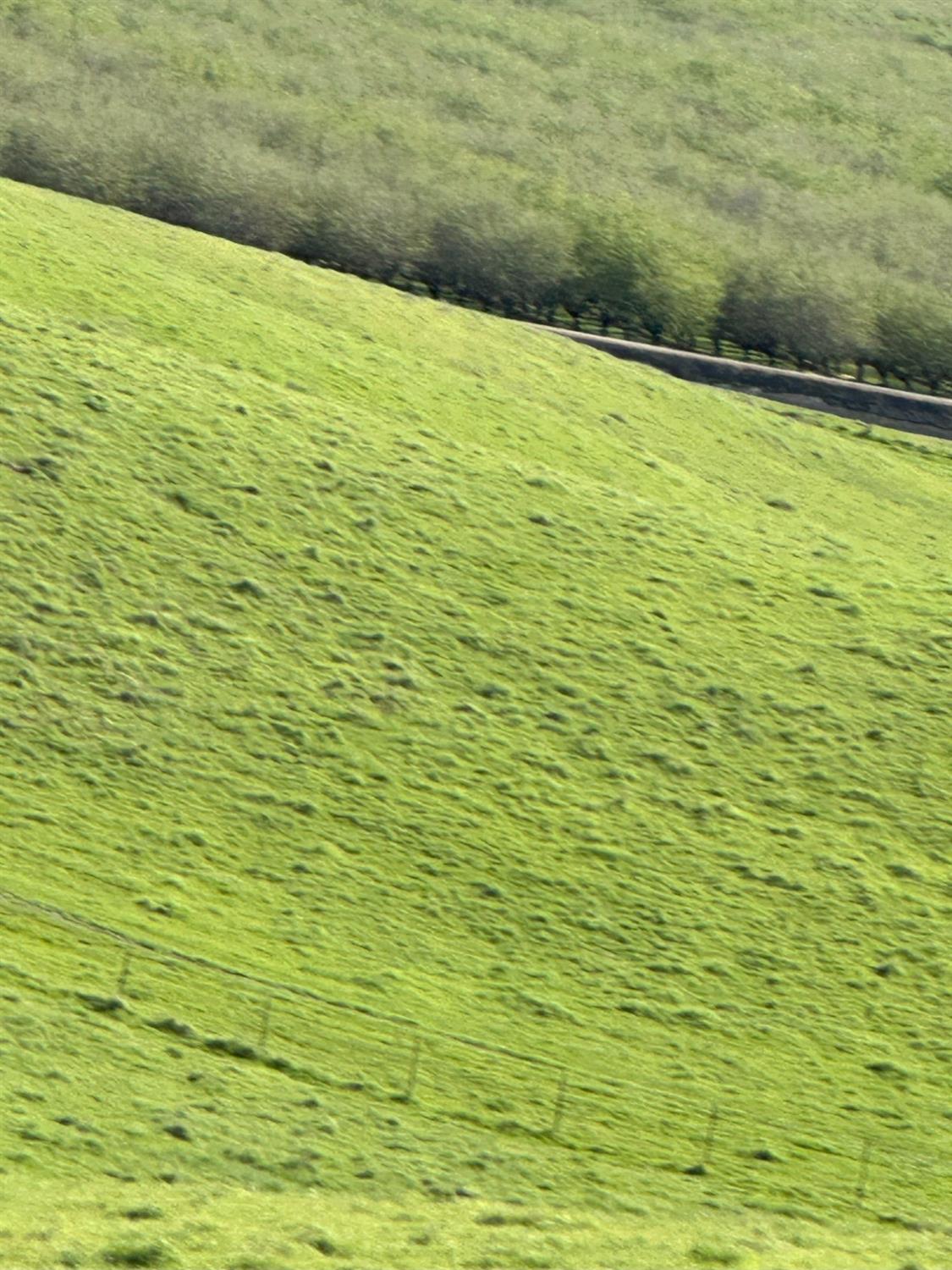 1100 Crabtree Road Waterford, CA 95386 - Photo 71 of 73