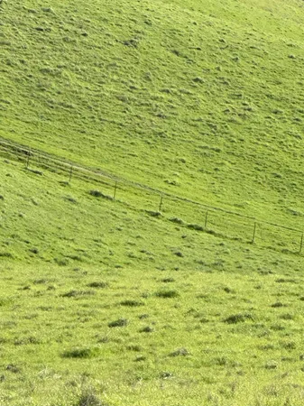 $3,650,000 | 1100 Crabtree Road, Waterford, CA 95386