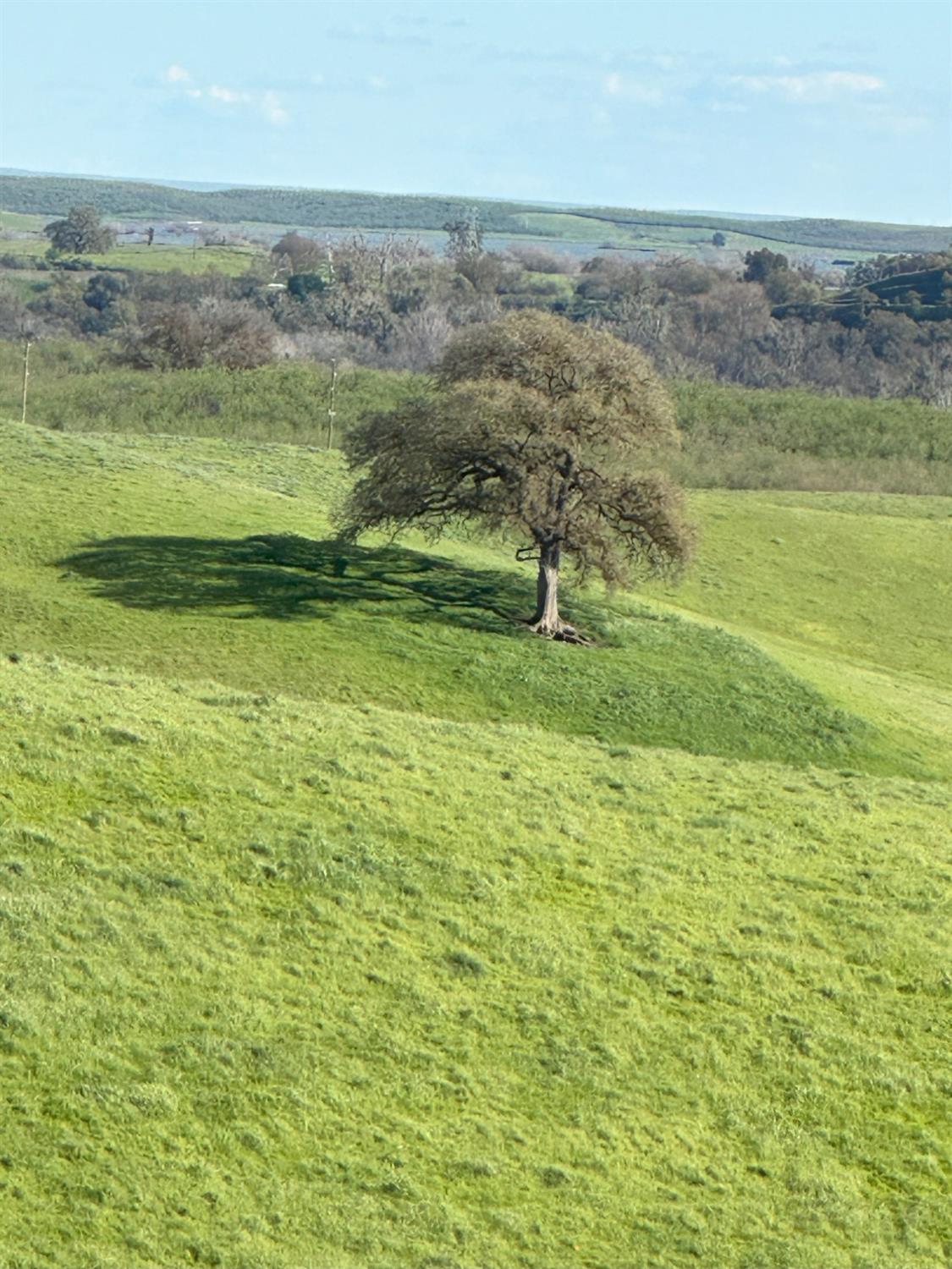1100 Crabtree Road Waterford, CA 95386 - Photo 73 of 73 a view of a green field with an ocean