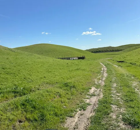 $3,650,000 | 1100 Crabtree Road, Waterford, CA 95386