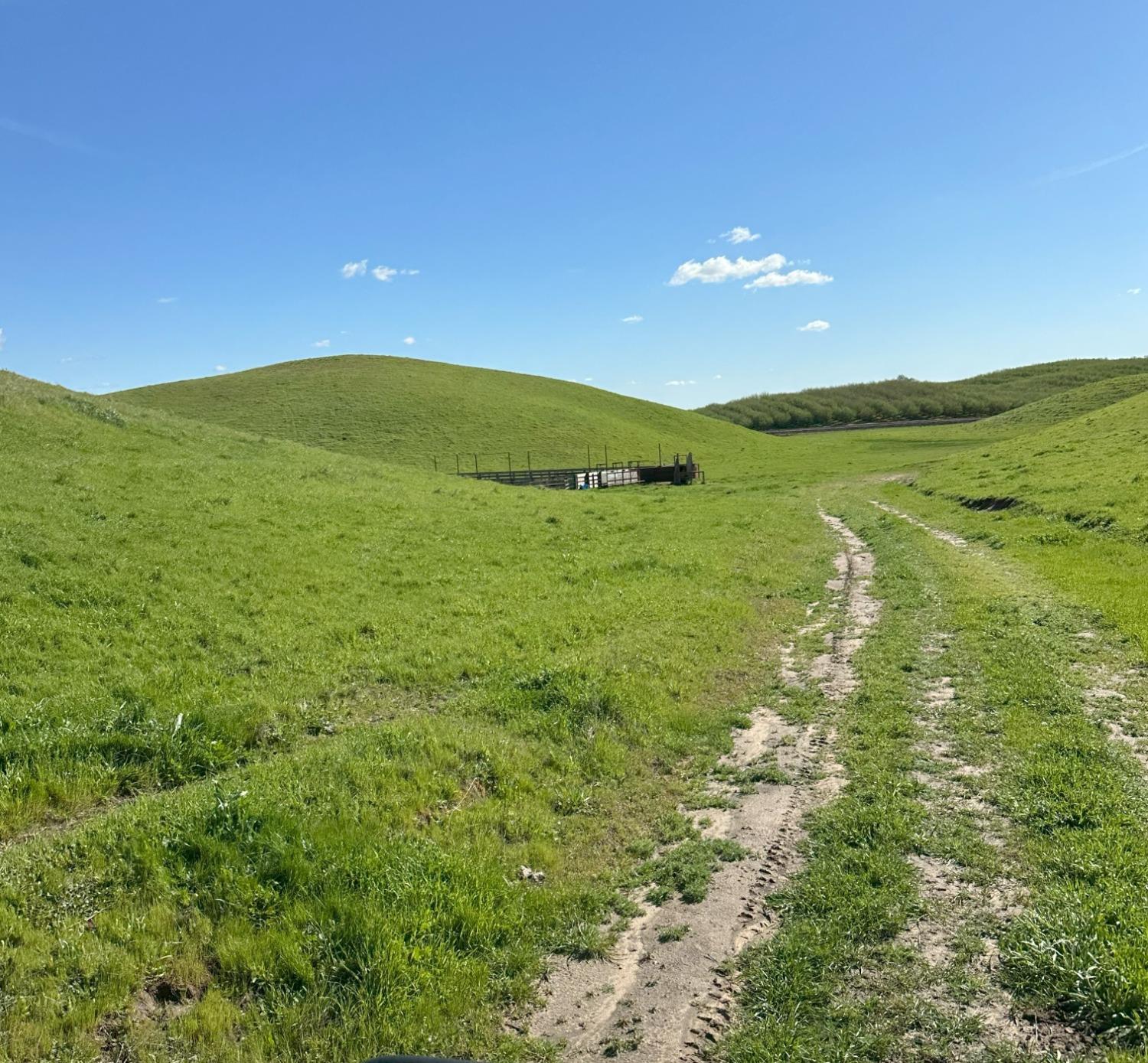 1100 Crabtree Road Waterford, CA 95386 - Photo 8 of 73 a view of an ocean from a yard