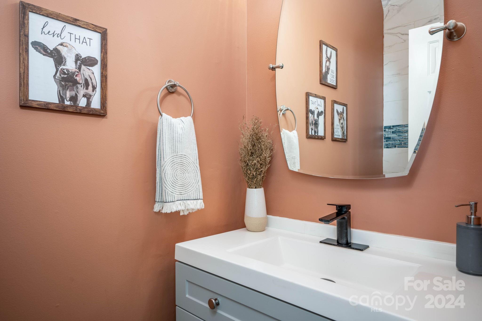 147 High Ridge Road Mooresville, NC 28117 - Photo 16 of 30 a bathroom with a sink and a mirror