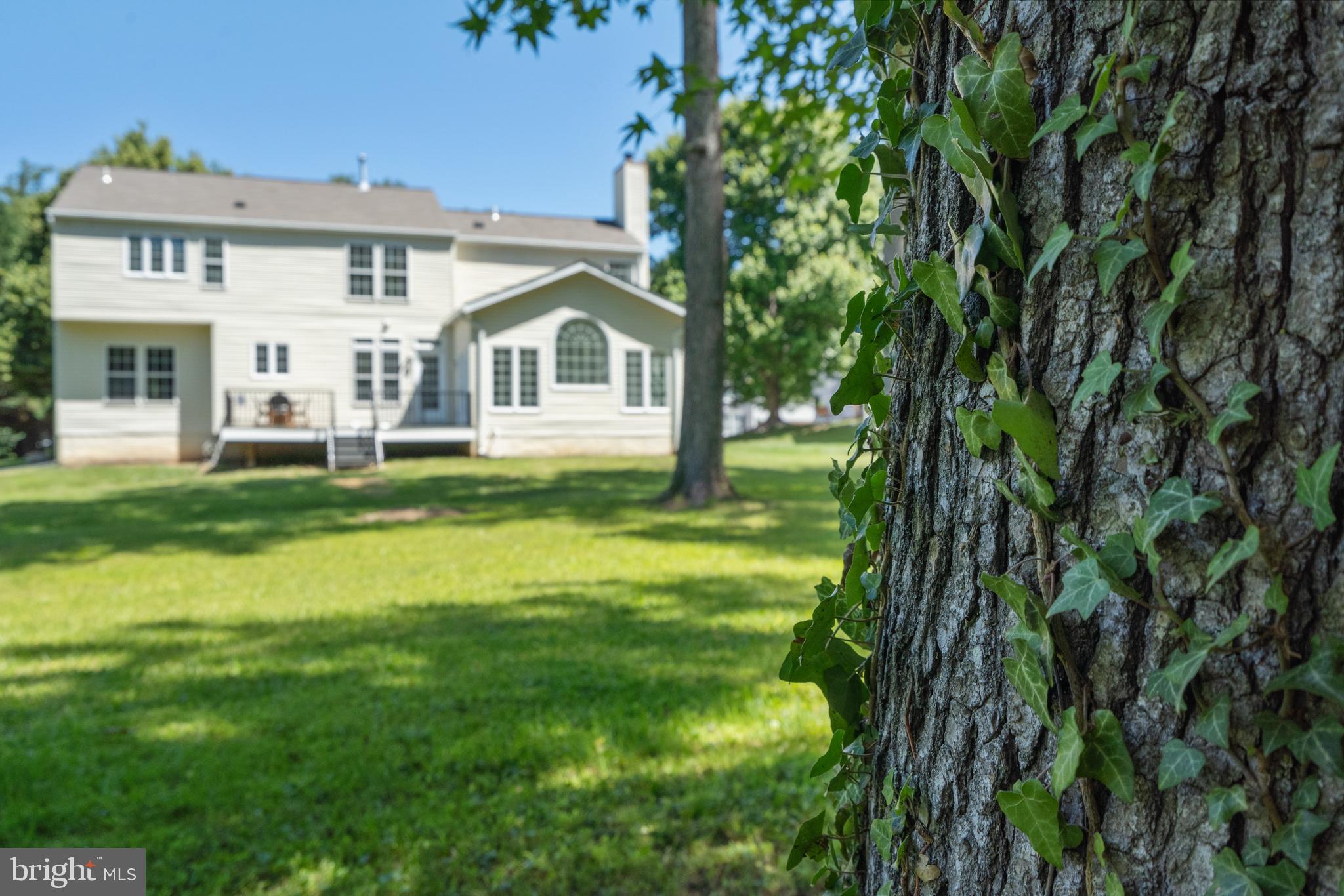 6733 Catskill Road Lorton, VA 22079 - Photo 61 of 62 Back side Picture
