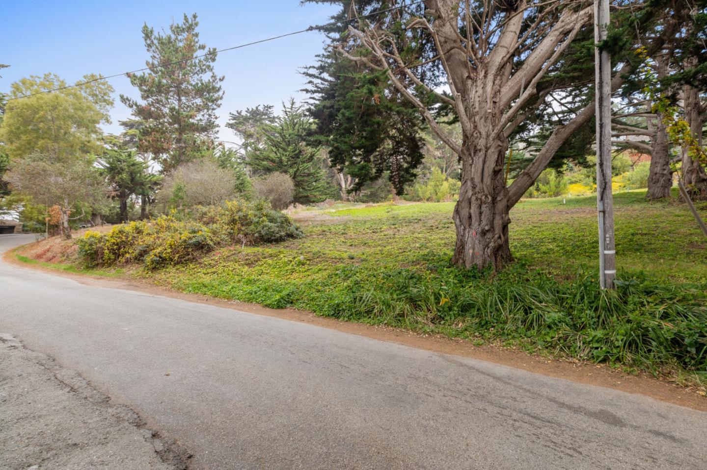 161 Spindrift Road, Unit B Carmel, CA 93923 - Photo 12 of 22 a view of a yard with plants and large trees