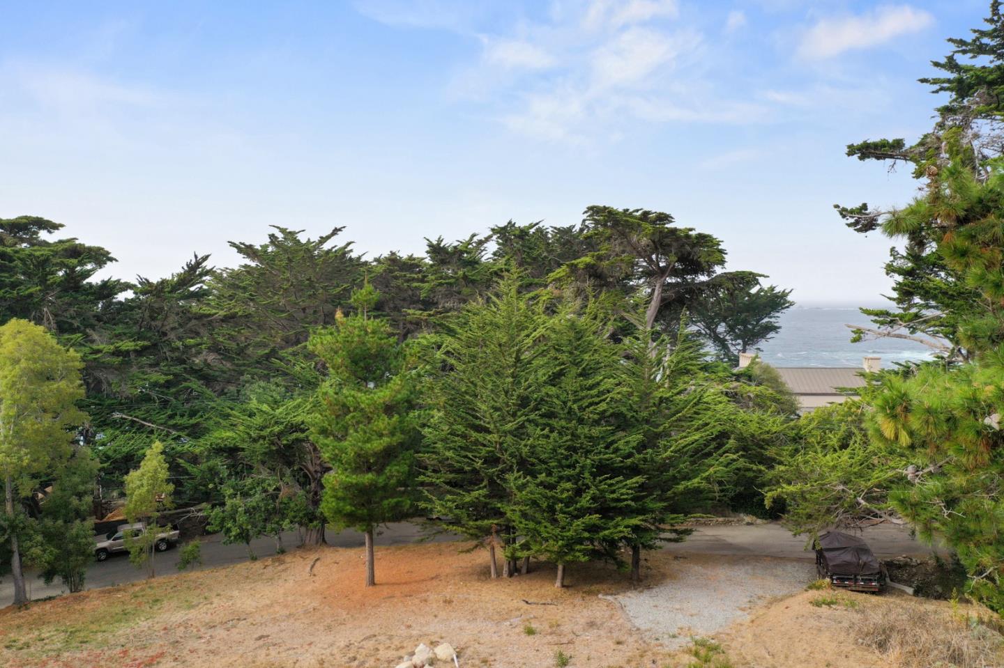 161 Spindrift Road, Unit B Carmel, CA 93923 - Photo 13 of 22 a backyard of a house with lots of green space