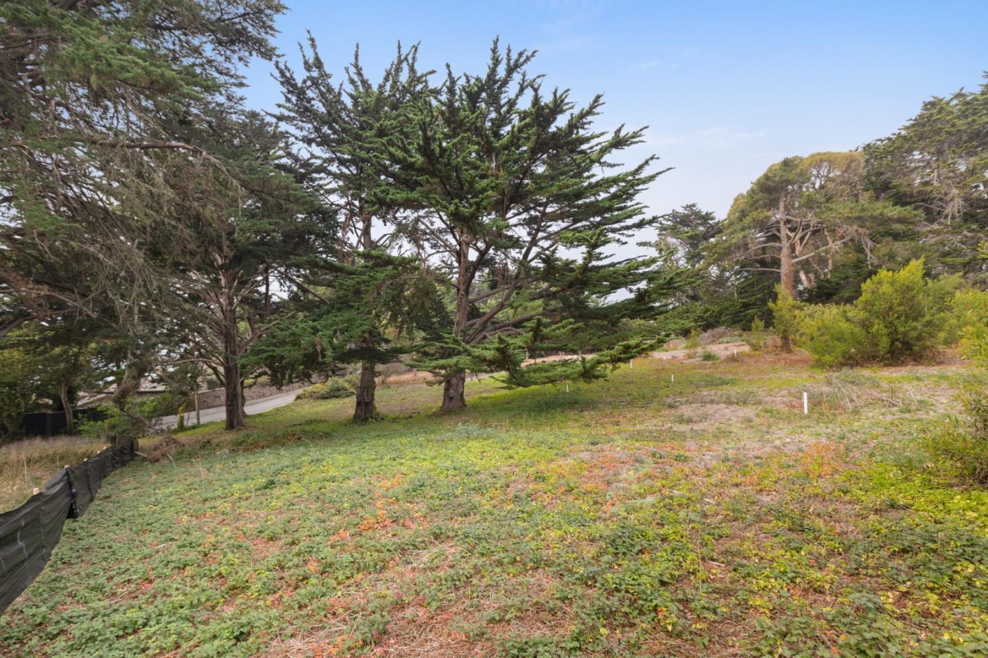 161 Spindrift Road, Unit B Carmel, CA 93923 - Photo 14 of 22 a backyard of a house with lots of green space