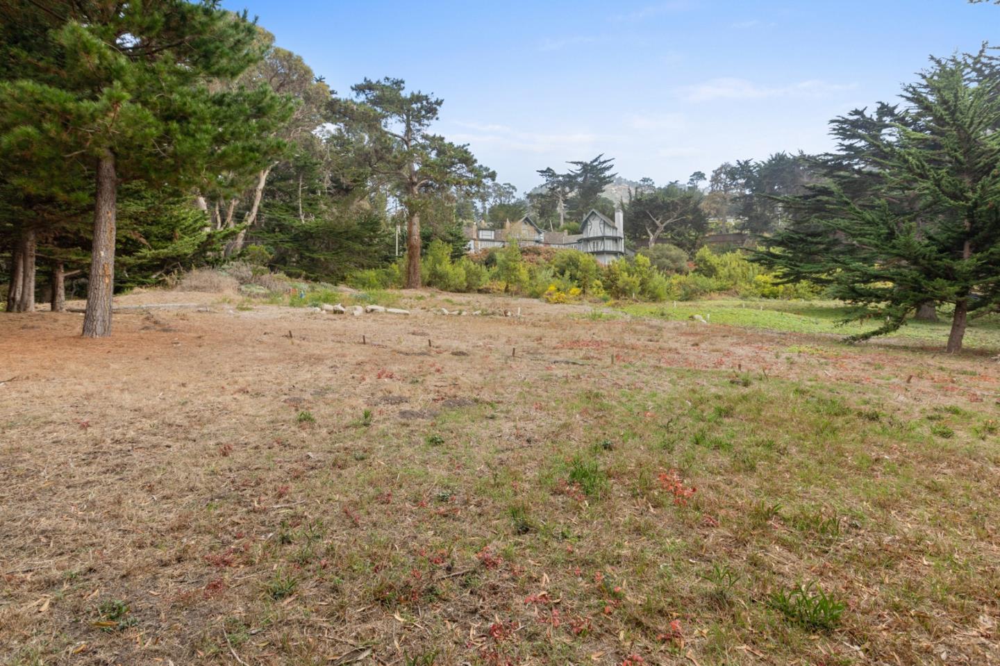161 Spindrift Road, Unit B Carmel, CA 93923 - Photo 15 of 22 a view of a yard with trees in the background