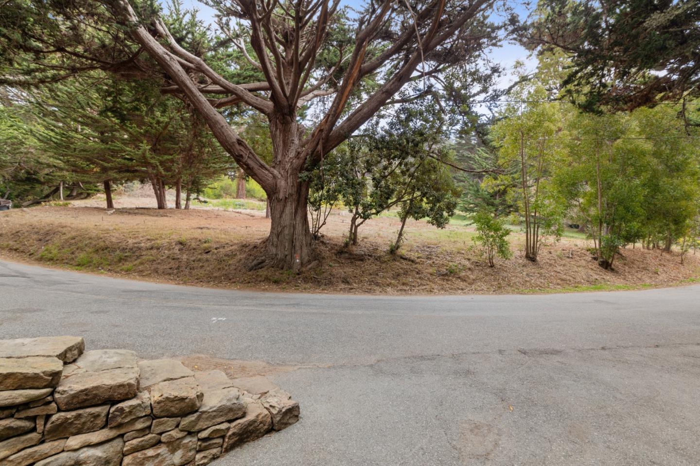 161 Spindrift Road, Unit B Carmel, CA 93923 - Photo 16 of 22 a road view with large trees