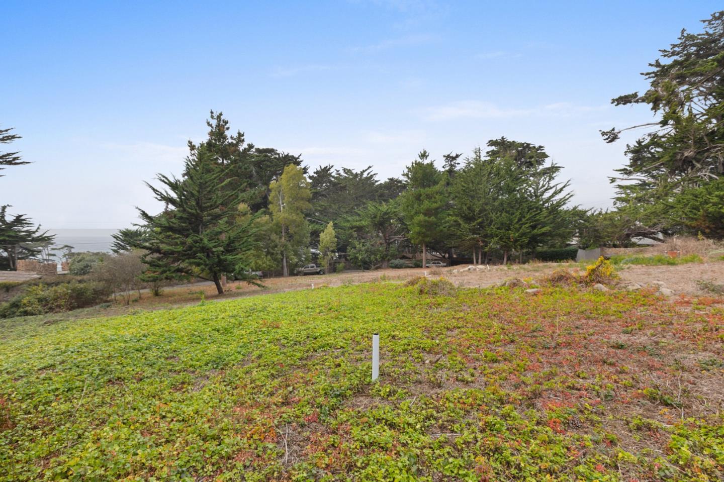161 Spindrift Road, Unit B Carmel, CA 93923 - Photo 19 of 22 a backyard of a house with lots of green space