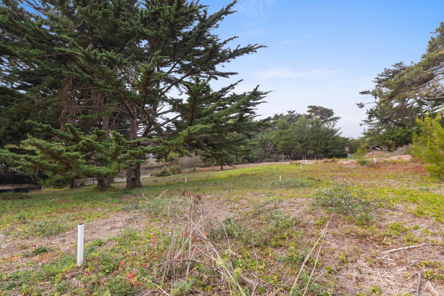 161 Spindrift Road, Unit B Carmel, CA 93923 - Photo 20 of 22 a backyard of a house with lots of green space