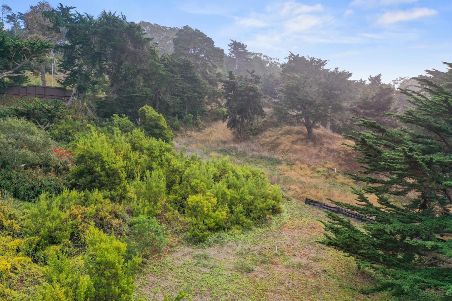 161 Spindrift Road, Unit B Carmel, CA 93923 - Photo 22 of 22 a view of a lush green forest with lots of trees