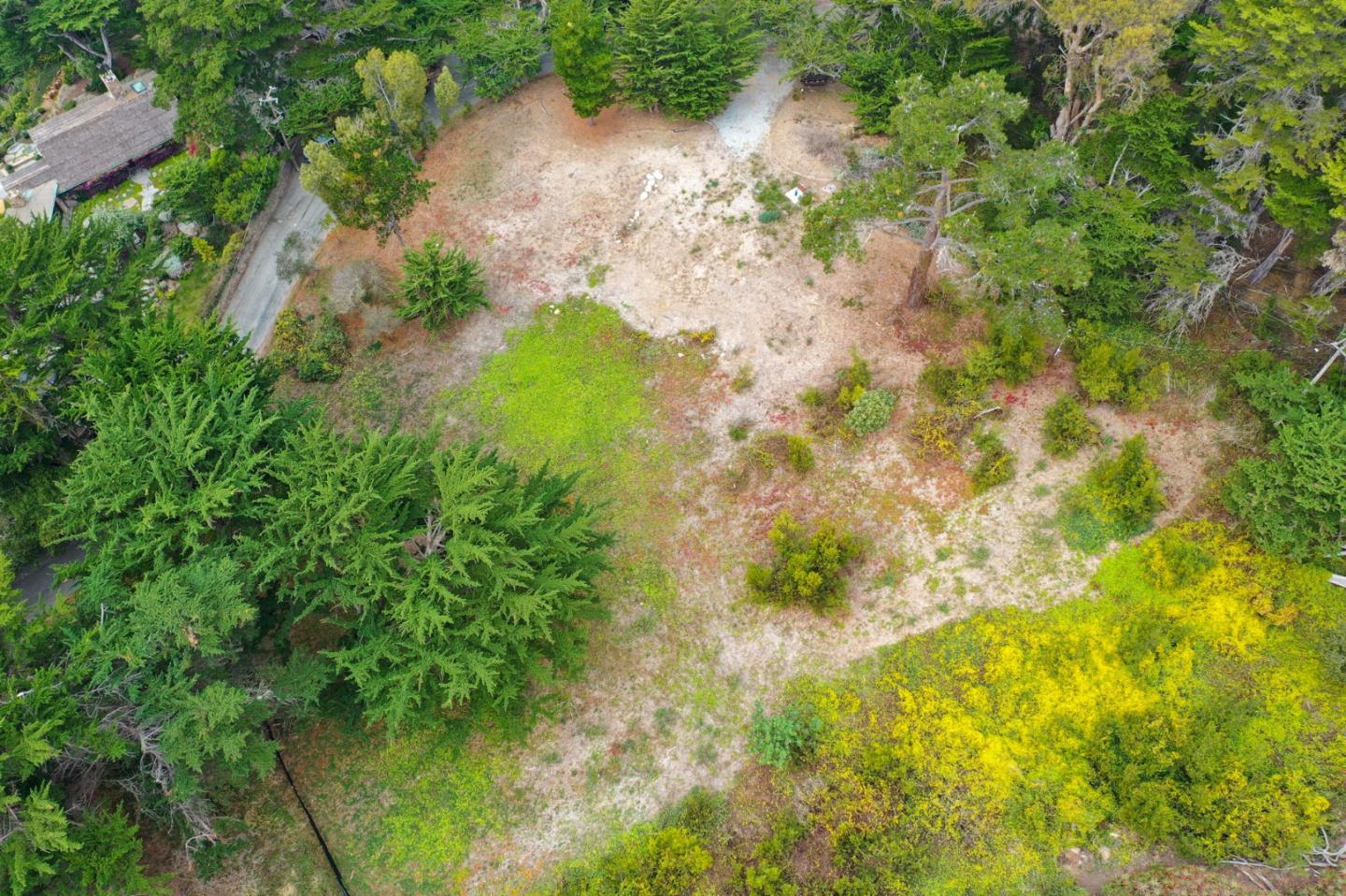 161 Spindrift Road, Unit B Carmel, CA 93923 - Photo 6 of 22 a backyard of a house with lots of green space