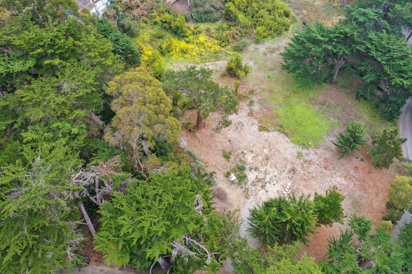 161 Spindrift Road, Unit B Carmel, CA 93923 - Photo 7 of 22 a view of a garden with a lake