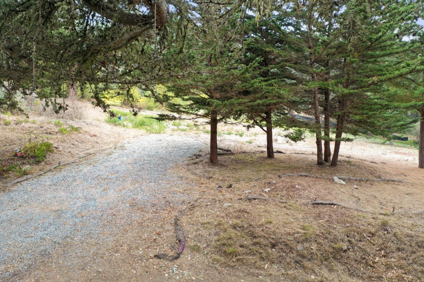 161 Spindrift Road, Unit B Carmel, CA 93923 - Photo 10 of 22 a view of a yard with a tree