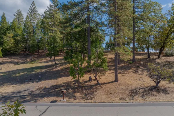 $28,000 | 323 Forest Meadows Drive, Murphys, CA 95247
