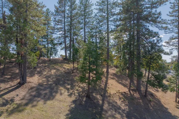 $28,000 | 323 Forest Meadows Drive, Murphys, CA 95247