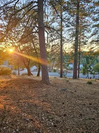 $28,000 | 323 Forest Meadows Drive, Murphys, CA 95247