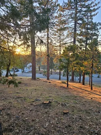 $28,000 | 323 Forest Meadows Drive, Murphys, CA 95247