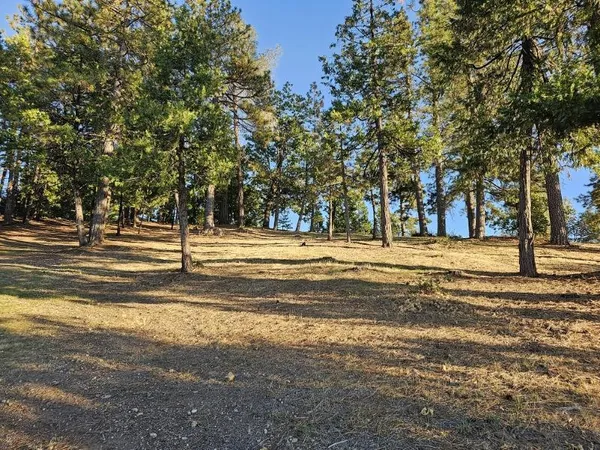 $28,000 | 323 Forest Meadows Drive, Murphys, CA 95247