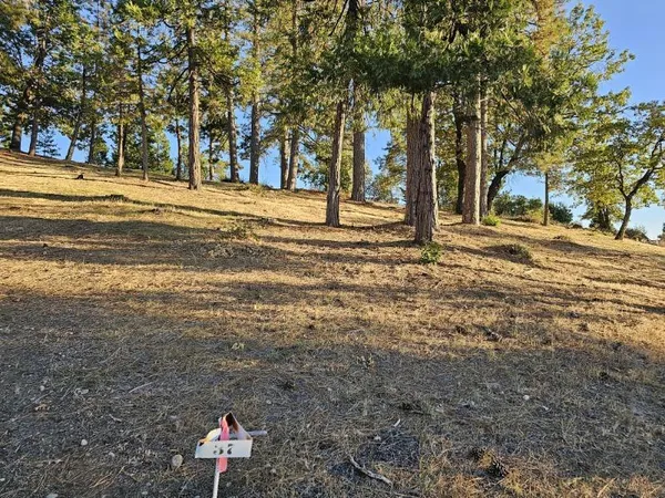$28,000 | 323 Forest Meadows Drive, Murphys, CA 95247