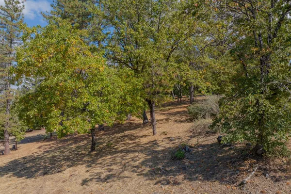 $28,000 | 323 Forest Meadows Drive, Murphys, CA 95247