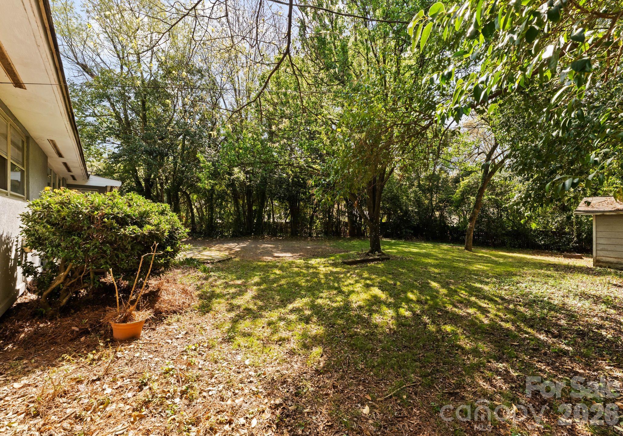 1136 East Woodlawn Road Charlotte, NC 28209 - Photo 39 of 47 a view of a yard with an trees