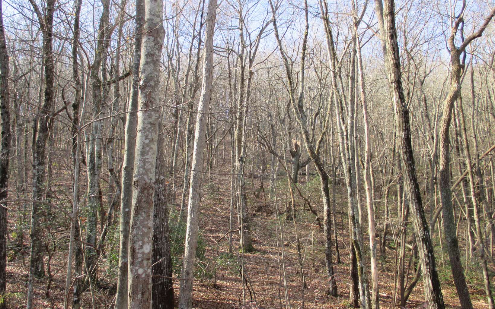 0 Cold Stream Trail Jasper, GA 30143 - Photo 20 of 31 Additional View