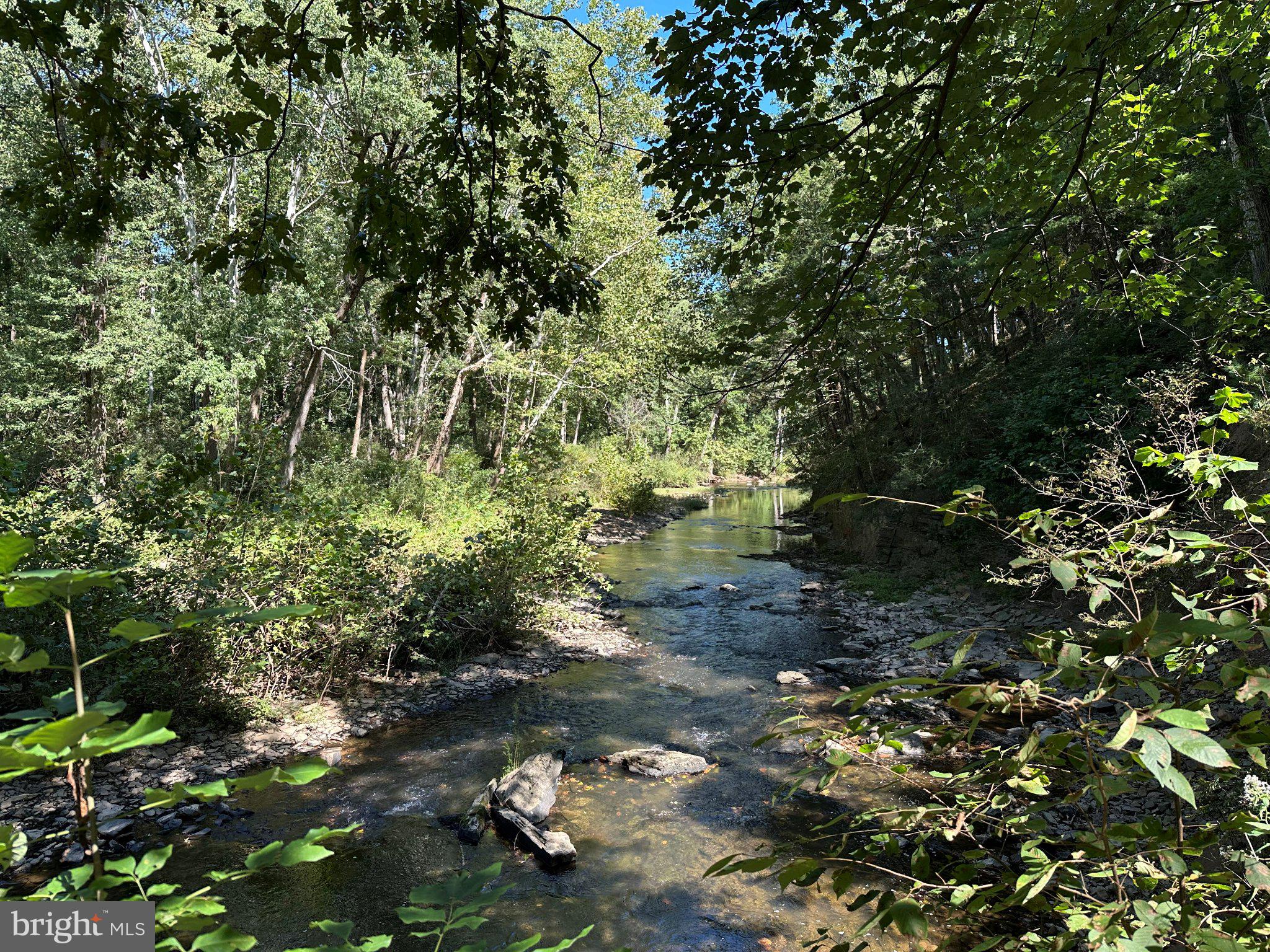 9184 Cold Stream Road Capon Bridge, WV 26711 - Photo 3 of 55 Gallery Image 3