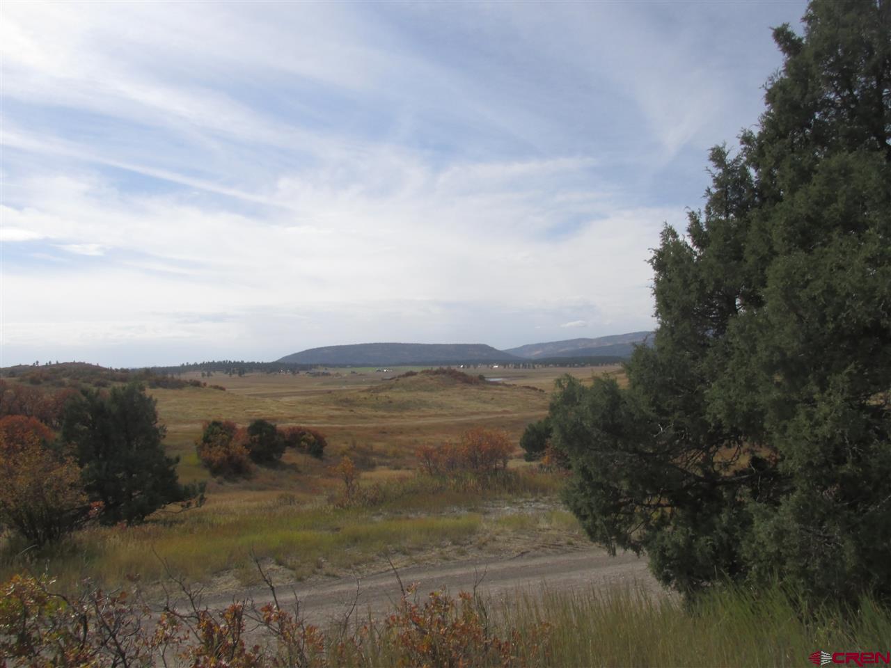 X Roush Drive Pagosa Springs, CO 81147 - Photo 11 of 16