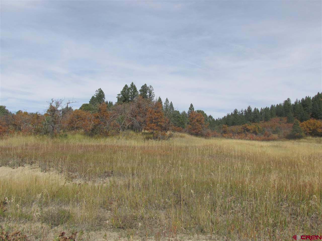 X Roush Drive Pagosa Springs, CO 81147 - Photo 12 of 16