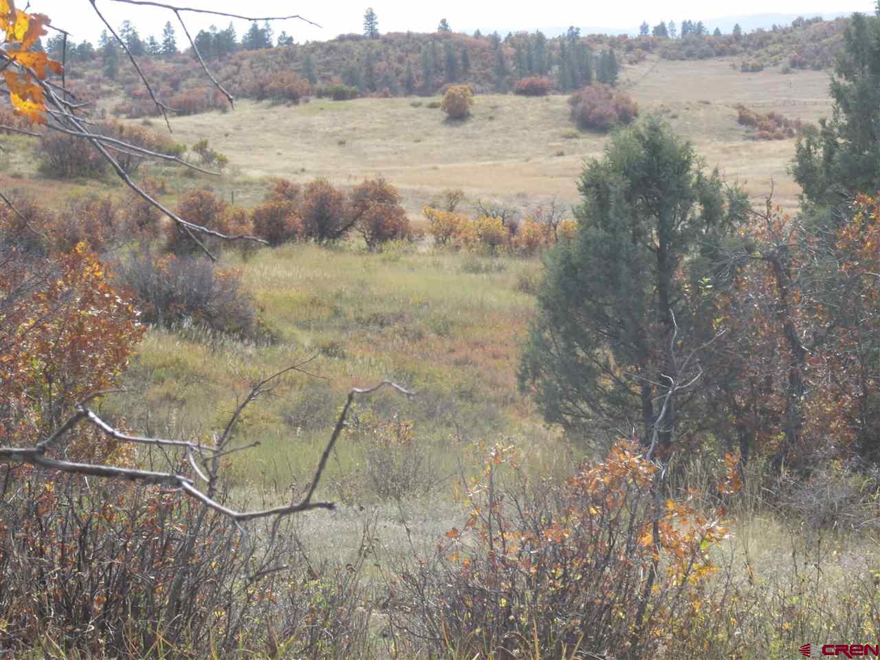 X Roush Drive Pagosa Springs, CO 81147 - Photo 2 of 16